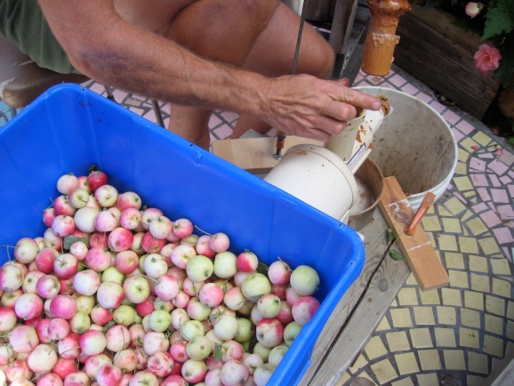 Apples by Karen Schlichting Apples