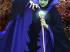 Cosplay
