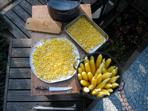 Corn by Aiden Enns Corn
