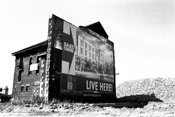 Live Here by Terry Steyn Live Here