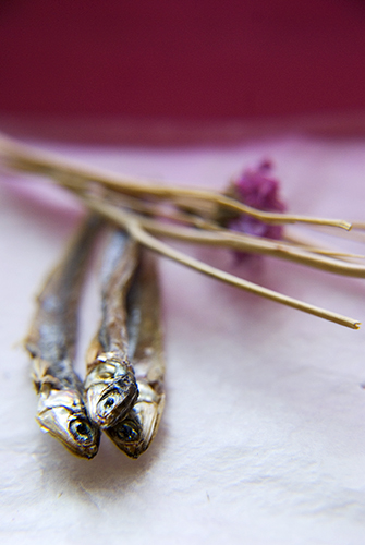 Beauty of dehydrated Anchovies